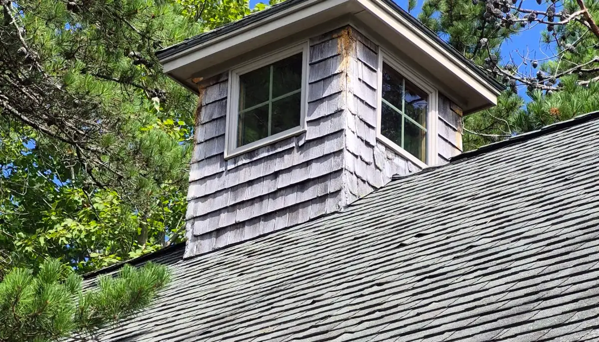 Before: weathered cedar cupola and worn shingle roof