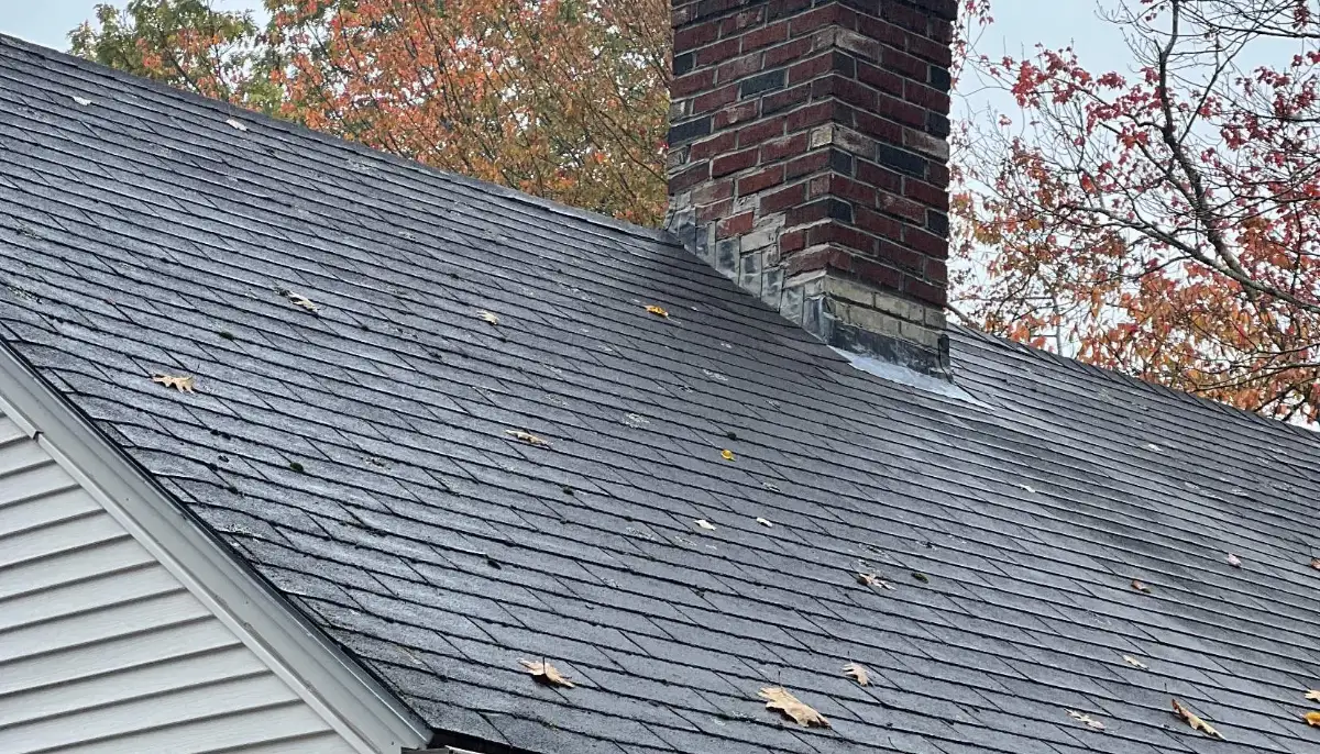 Shingle roof and brick chimney on a Maine home